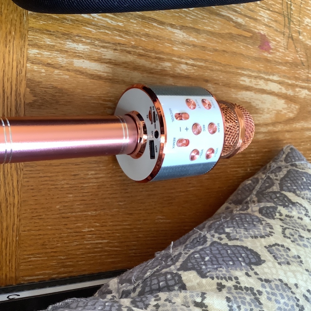 Microphone - Picture 3 of 5